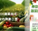 神奈川蔬菜加工 正社員招聘