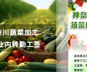 神奈川蔬菜加工 正社員招聘